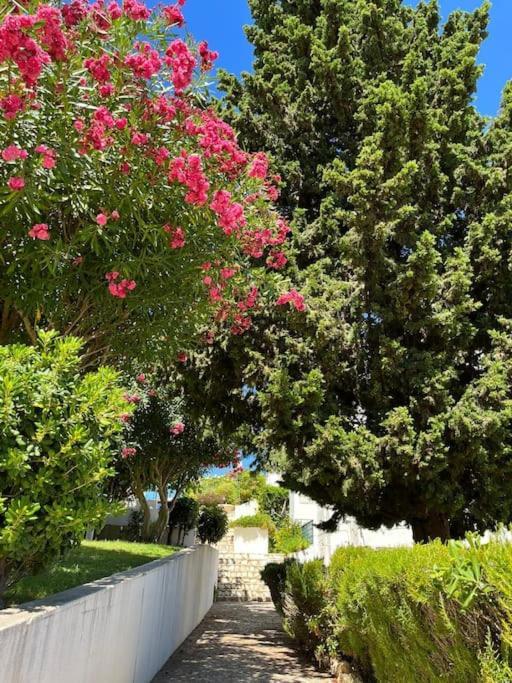 Casa Oliveira - Algarve Leilighet Porches  Eksteriør bilde
